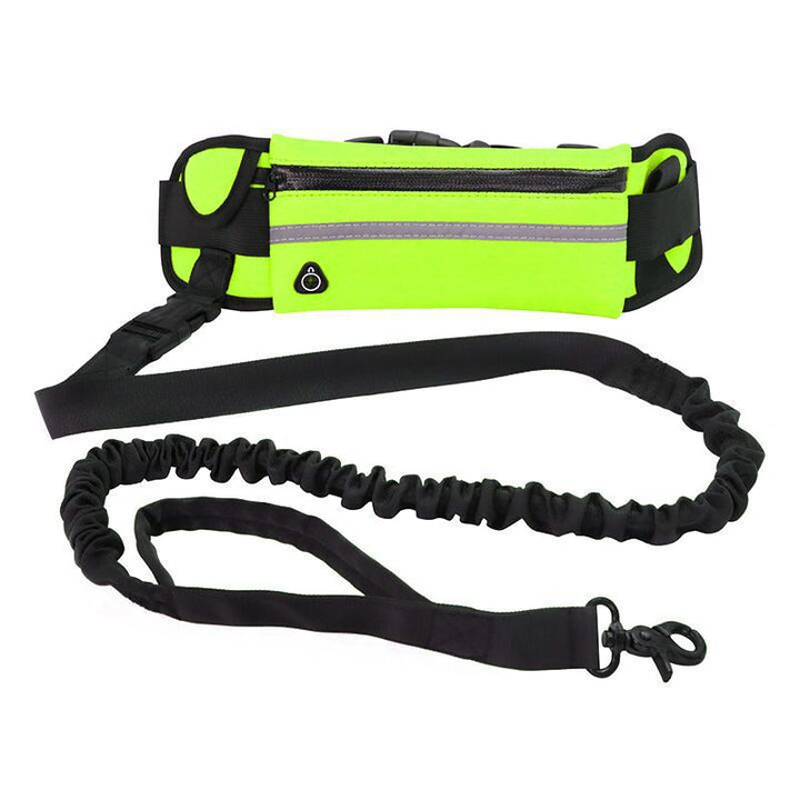 Unleash the Joy of Walking Your Pet with Our Pet Walking Purse Leash