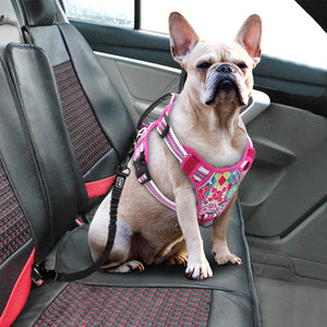 The Ultimate Pet Chest Harness Adjustable Leash for All Pets