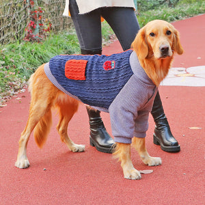 Keep Your Large Breed Pet Cozy This Winter