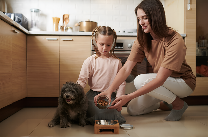 Healthy Feeding Solutions for Everyday Pet Wellness