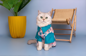Stylish and Cozy Clothing for Every Pet