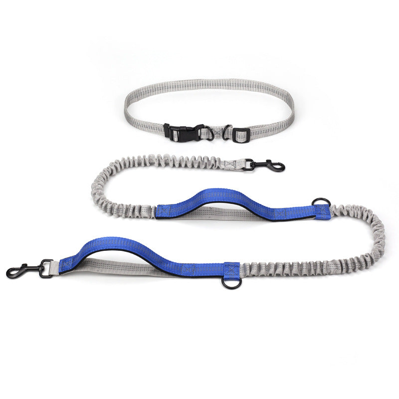 Pet Multifunctional Reflective Double Telescopic Running Leash
