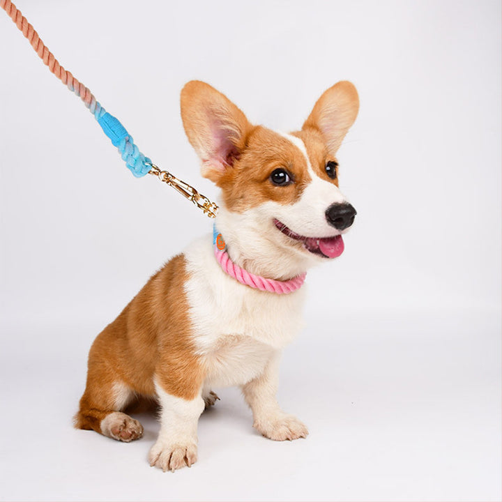 Woven Cotton Pet Leash Collar Set Walking Lead