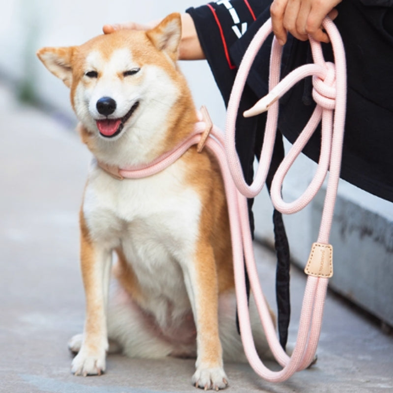 Pet Multi Functional Chest Harness Anti Burst Leash