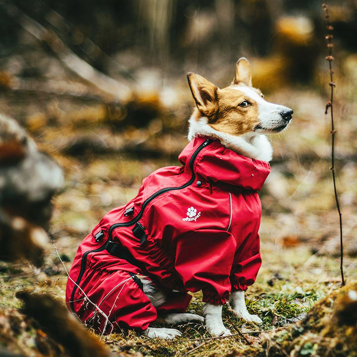 Full Coverage Four Legged Pet Sweater Apparel