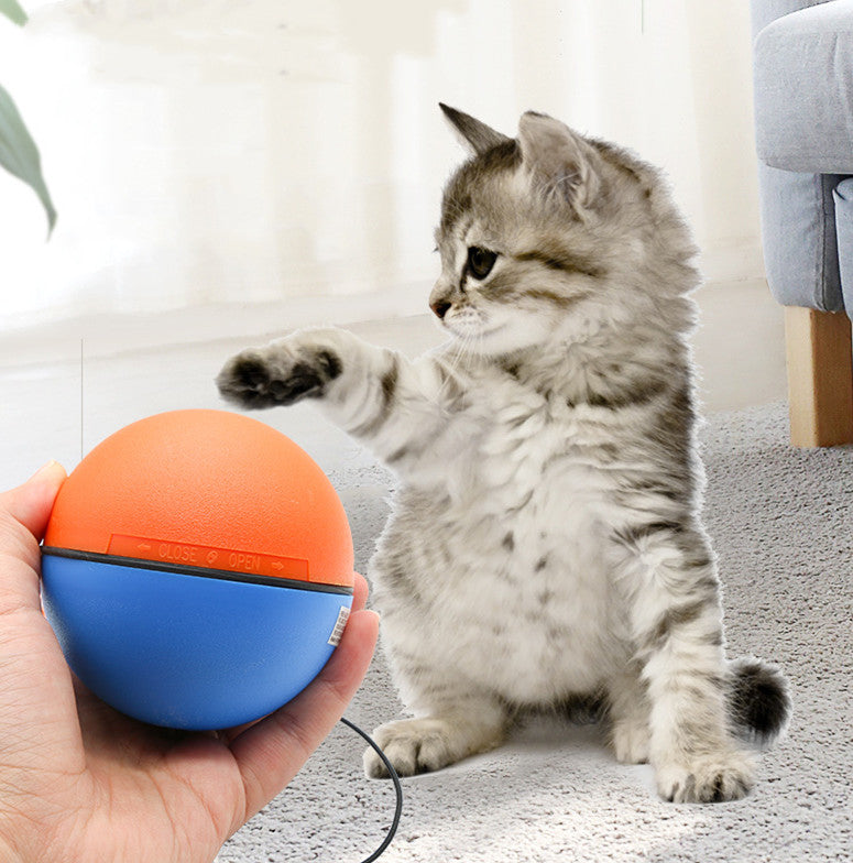 Pet Automatic Intelligent Teasing Tooth Grinding Toy Ball