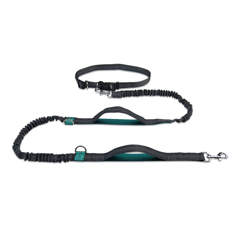 Pet Multifunctional Reflective Double Telescopic Running Leash