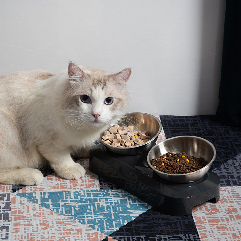 Pet Stainless Steel Double Bowl Feeding Set