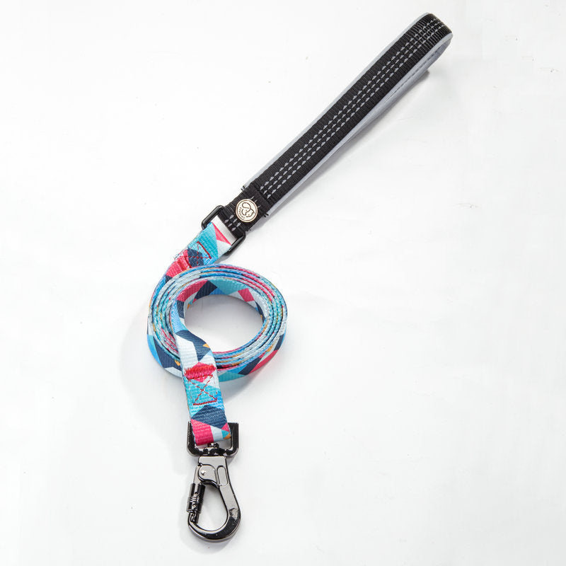 Pet Supplies Adjustable Durable Walking Leash