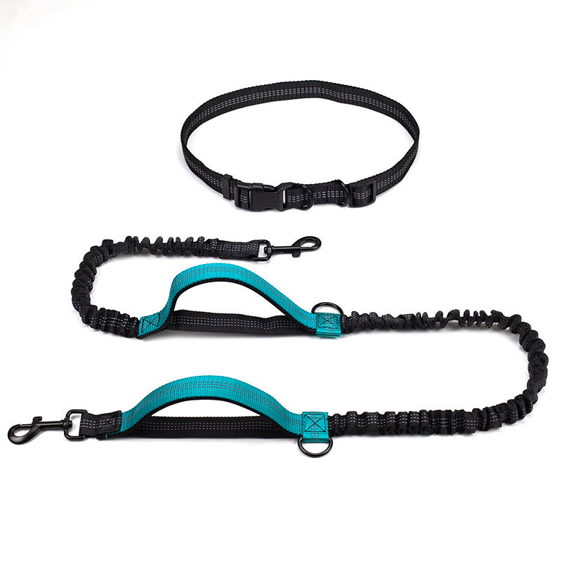 Pet Multifunctional Reflective Double Telescopic Running Leash