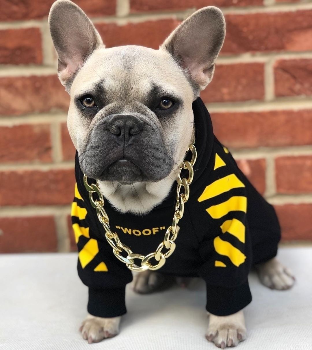 Three Stripe Pet Fashion Sweater Autumn Winter Apparel