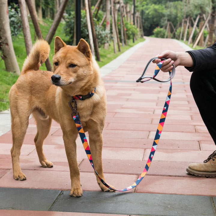 Pet Supplies Adjustable Durable Walking Leash