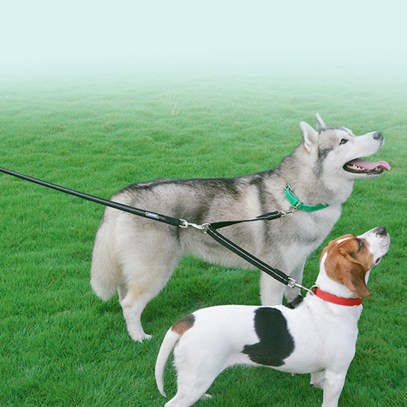 Reflective Double Head Nylon Dual Pet Leash Walking Lead