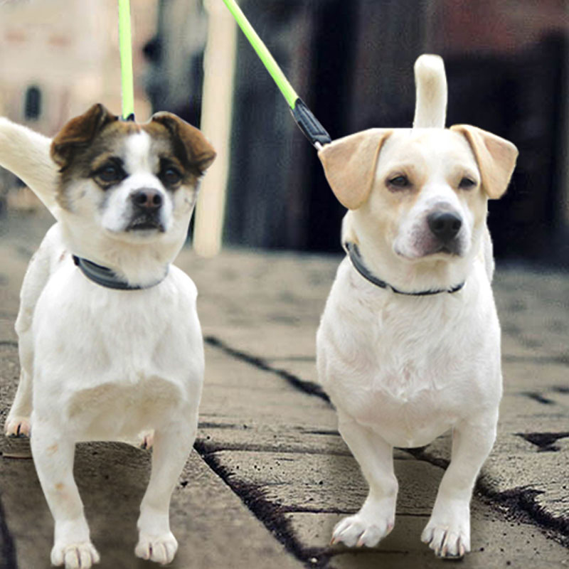 Reflective Double Head Nylon Dual Pet Leash Walking Lead