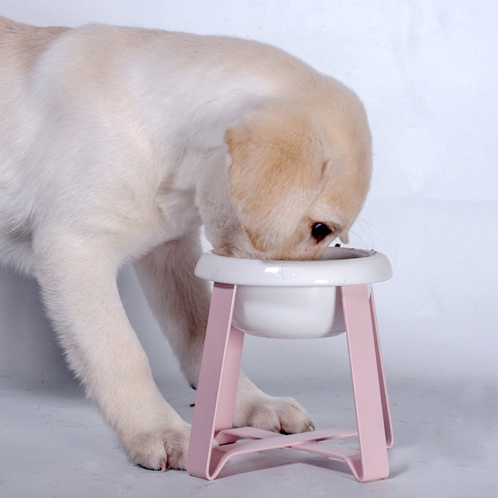 Pet Anti Slip Iron Stand Double Feeding Bowl