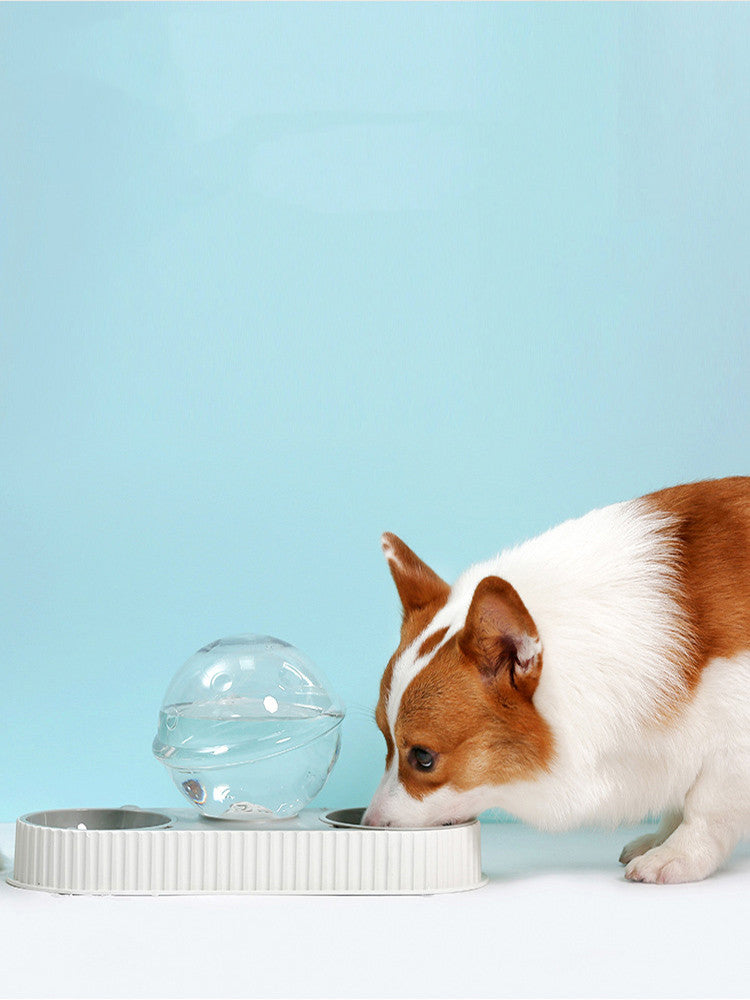 Pet Plastic Automatic Feeder And Water Bowl System