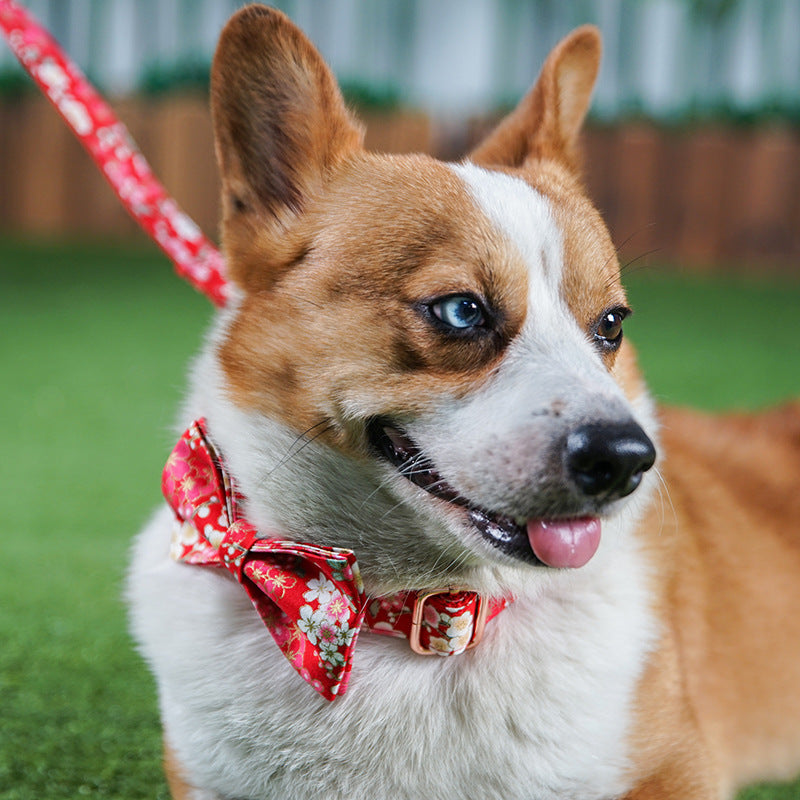 Pet Red Floral Style Adjustable Leash And Pen Set