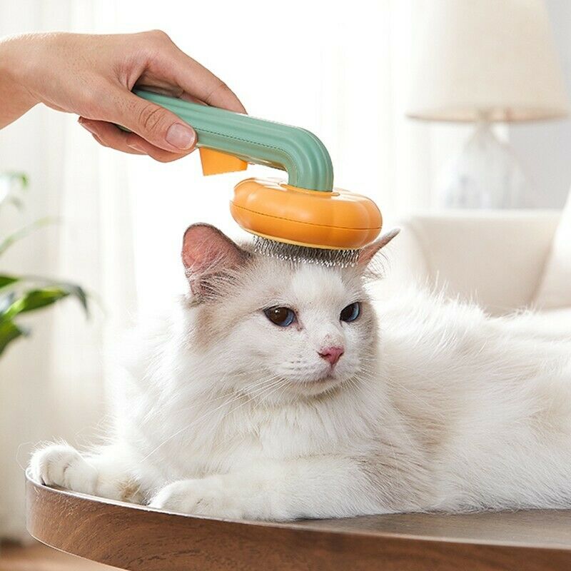 Pet Pumpkin Self Cleaning Grooming Brush Slicker Fur Removal Comb