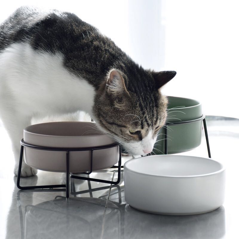 Pet Metal Frame Ceramic Feeding Bowl