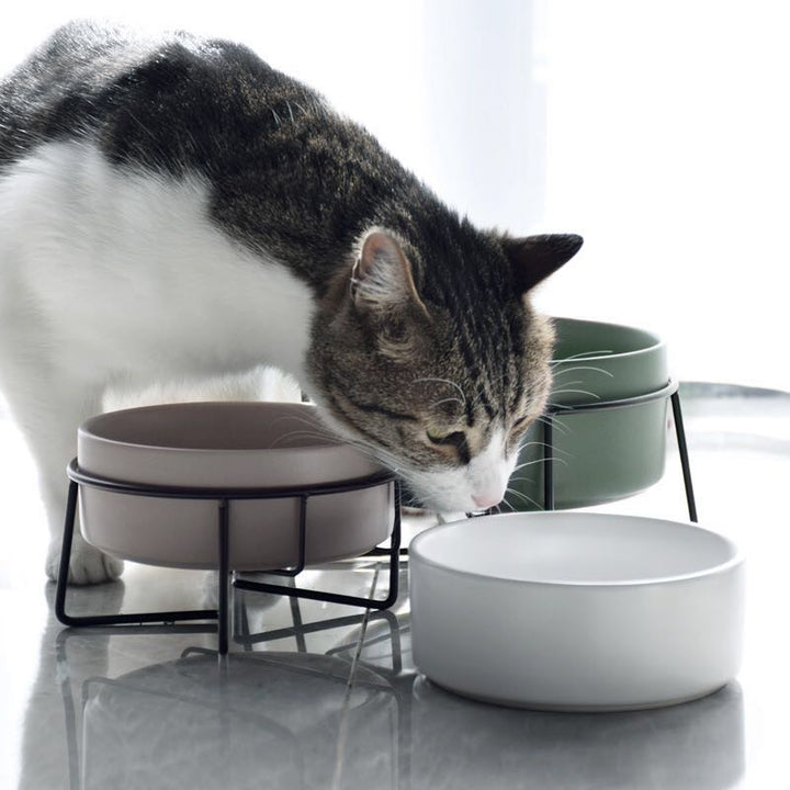 Pet Metal Frame Ceramic Feeding Bowl