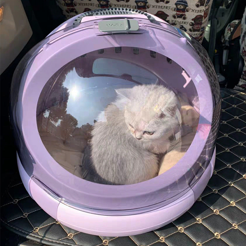 Pet Portable Air Box Litter Carrier