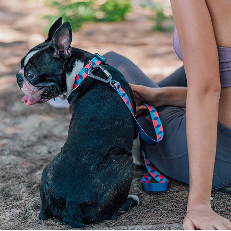 Pet Printed Ribbon Adjustable Traction Rope Leash