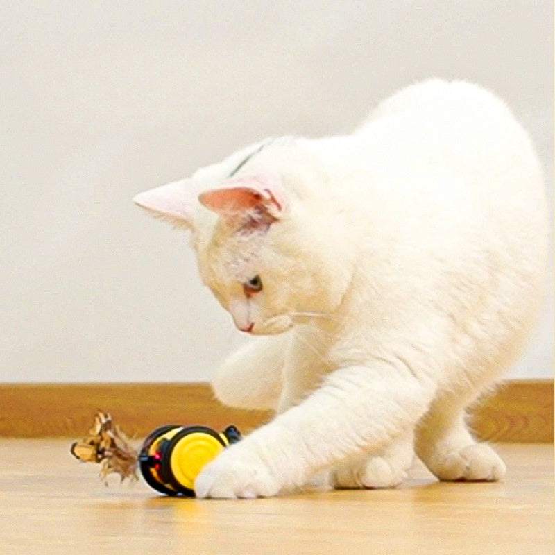Pet Electric Interactive Moving Feather Teasing Toy