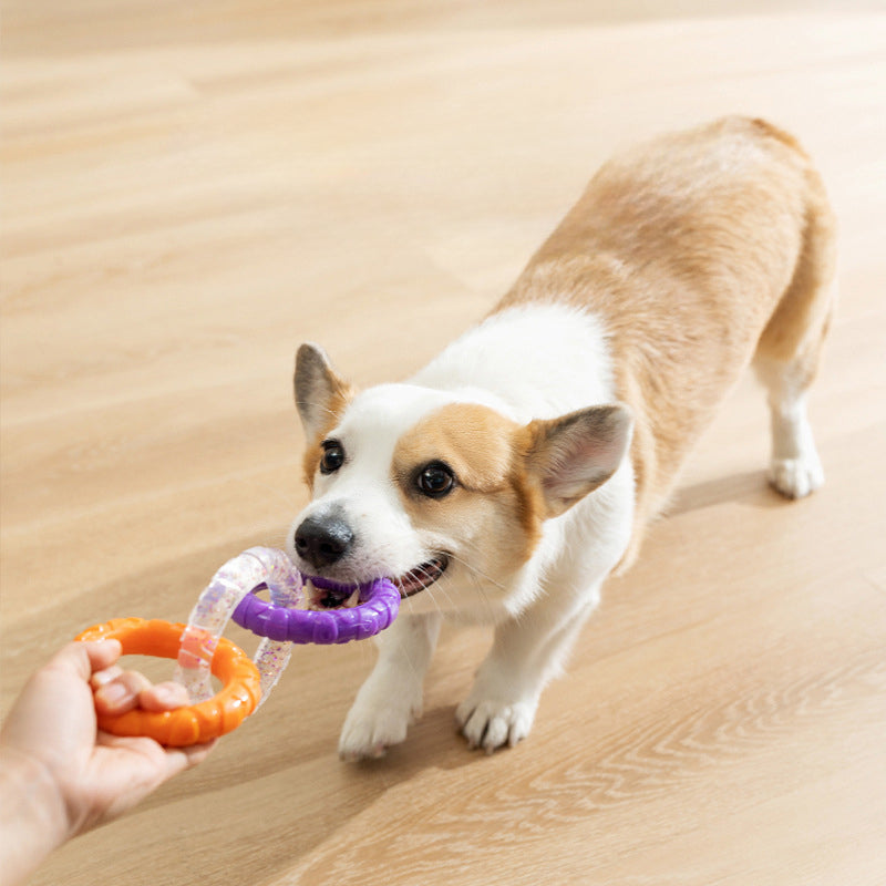 Pet Floating Water Flying Disc Interactive Training Toy
