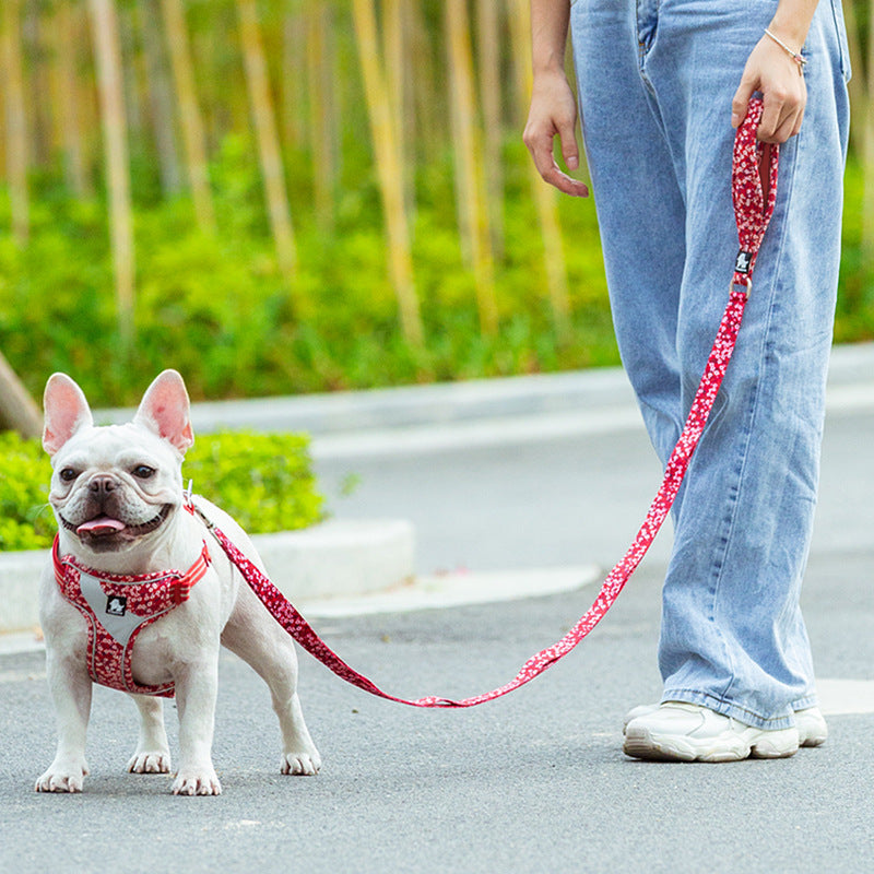 Pet Durable Pull Resistant Chain Rope Leash