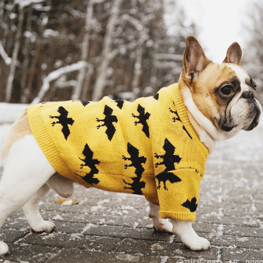 Soft Warm Core Spun Yarn Pet Sweater Apparel