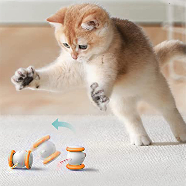 Pet Electric Intelligent Charging Teasing Toy