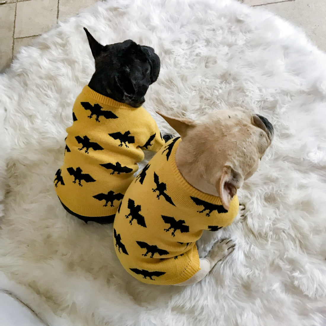 Soft Warm Core Spun Yarn Pet Sweater Apparel