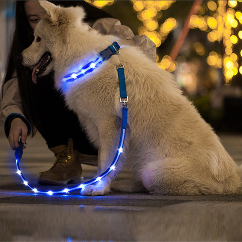 LED USB Rechargeable Luminous Pet Leash Walking Lead