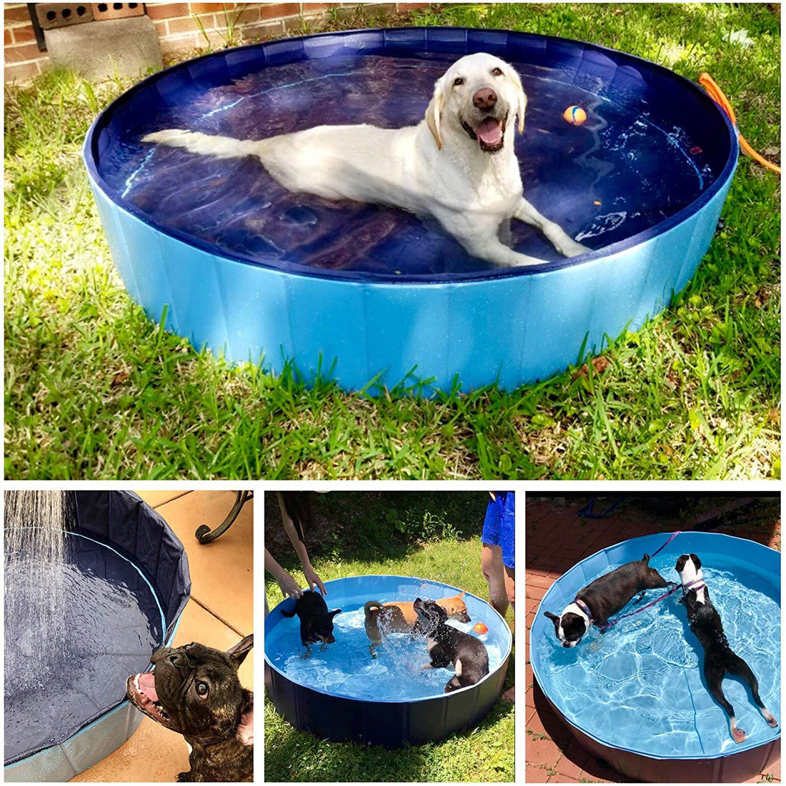 Foldable Pet Bathing Pool Collapsible Outdoor Tub