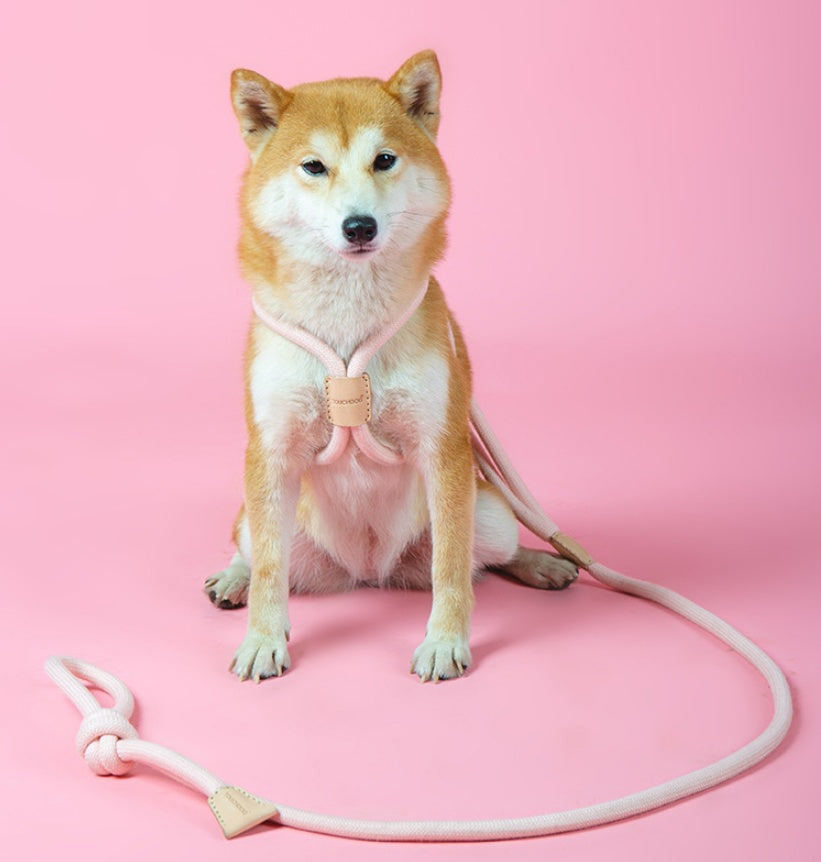 Pet Dual Purpose Integrated Round Rope Walking Leash