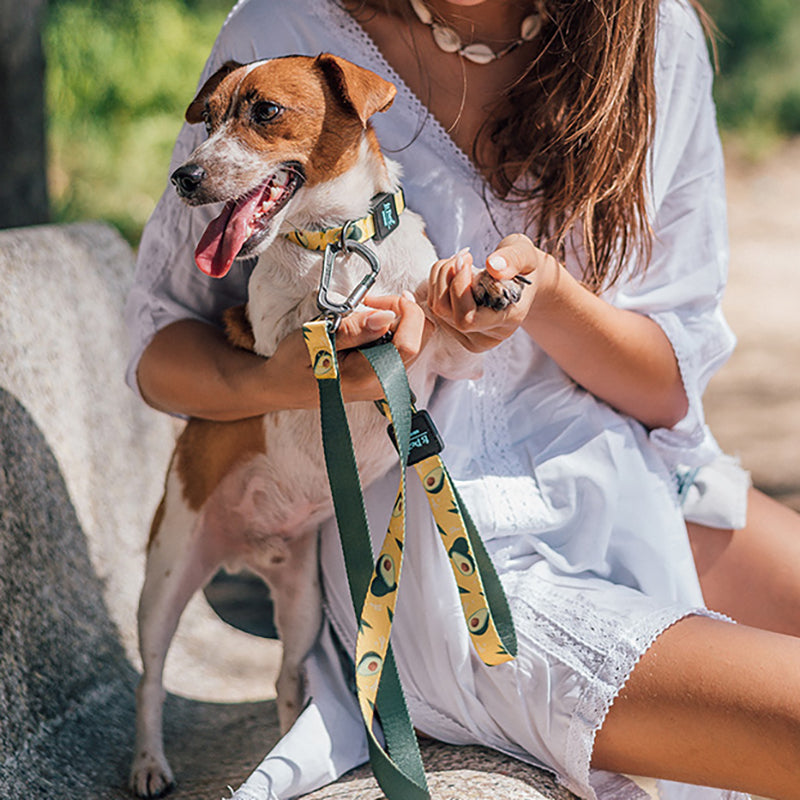 Pet Printed Ribbon Adjustable Traction Rope Leash