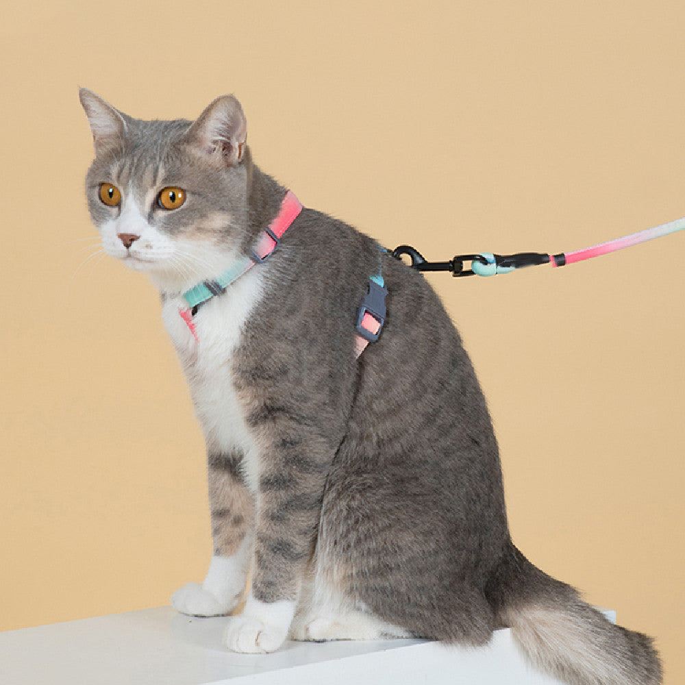 Pet Fashion Anti Escape Adjustable Walking Leash