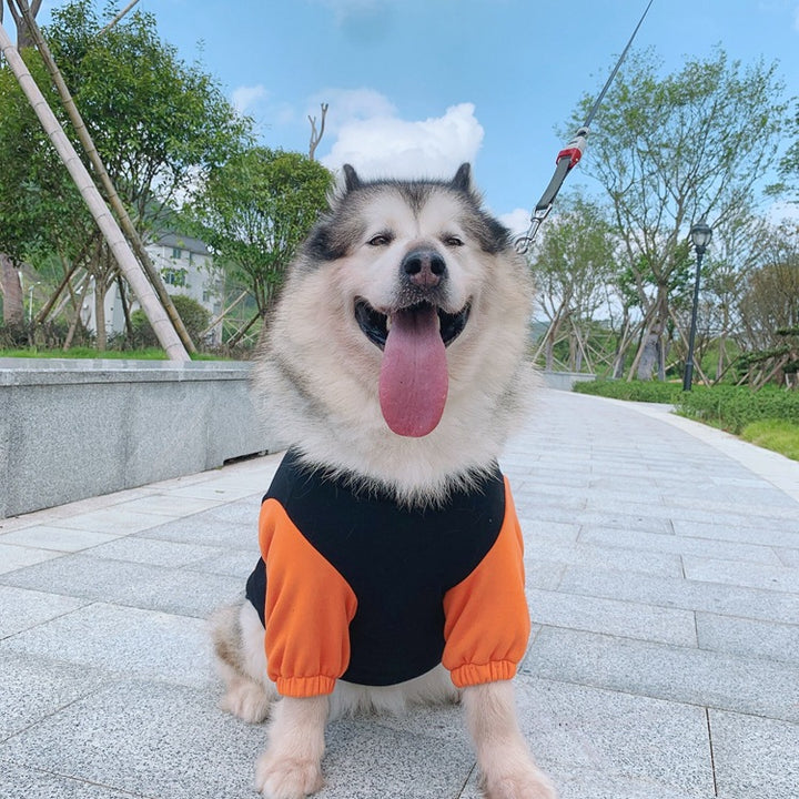 Pet Fashion Parent Child Sweater Clothing Set