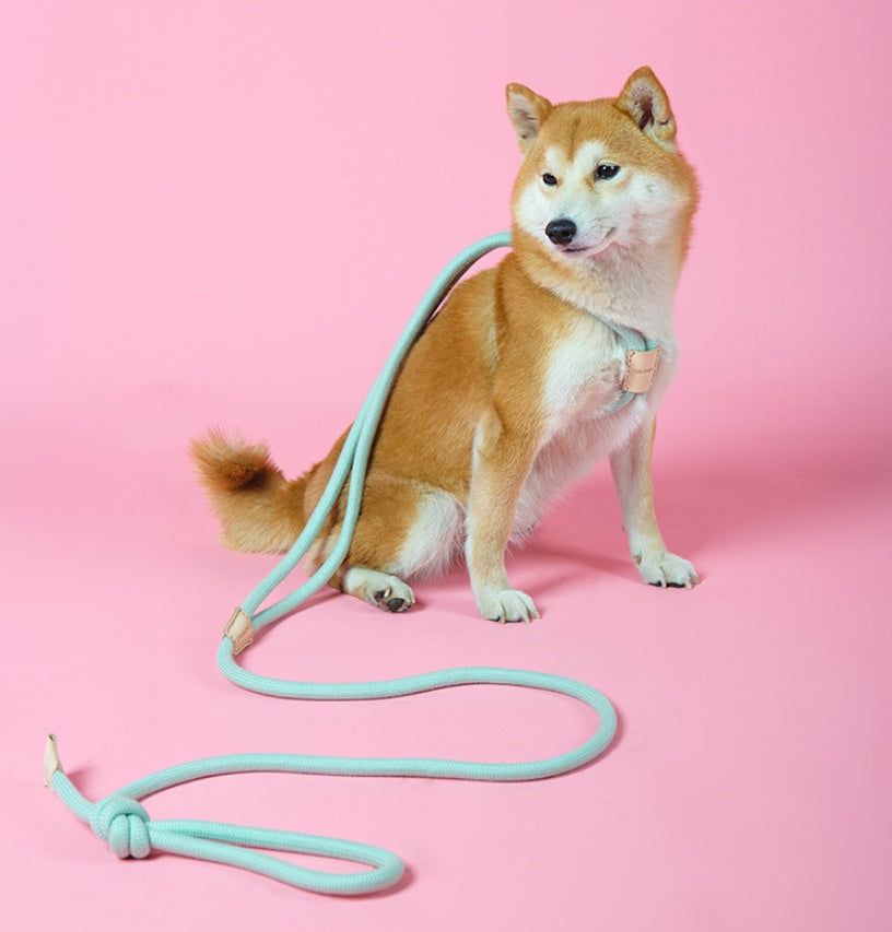 Pet Dual Purpose Integrated Round Rope Walking Leash