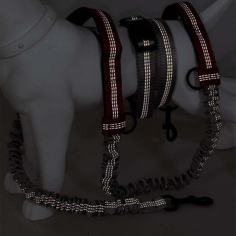 Pet Multifunctional Reflective Double Telescopic Running Leash