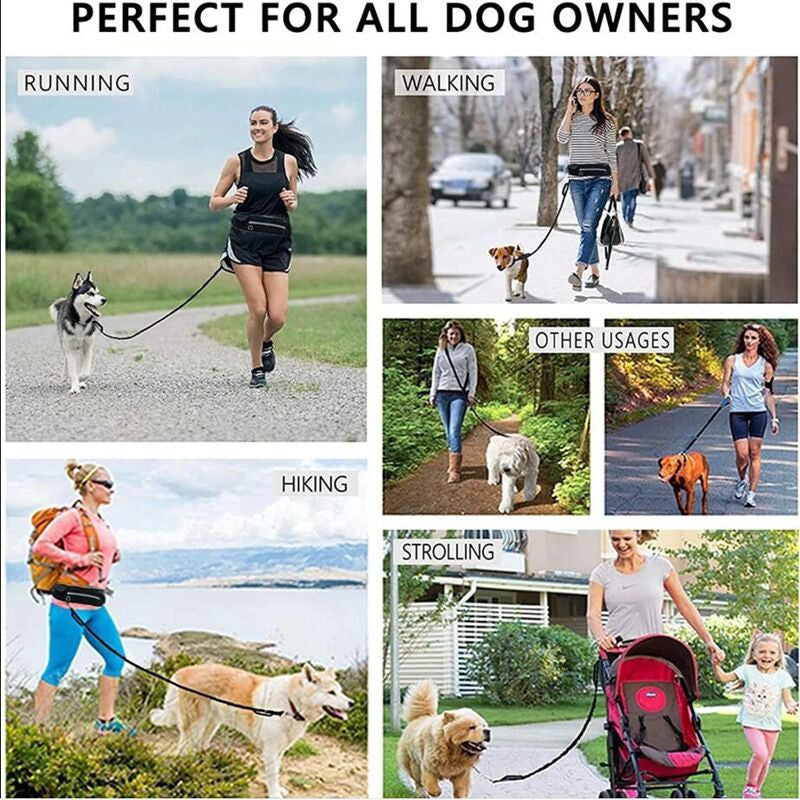 Pet Walking Purse Leash Portable Travel Carrier Strap