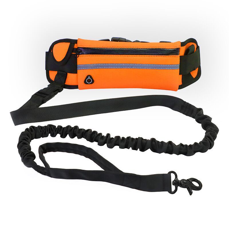 Pet Walking Purse Leash Portable Travel Carrier Strap