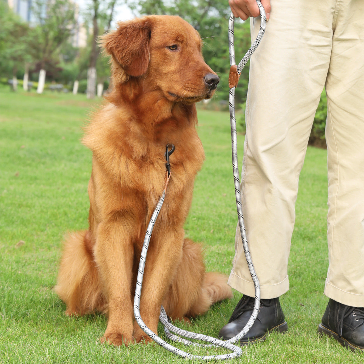 Pet Adjustable Reflective Handheld Walking Rope Leash