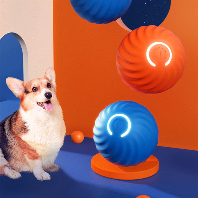 Pet Durable Rubber Bite Resistant Chew Ball Training Toy
