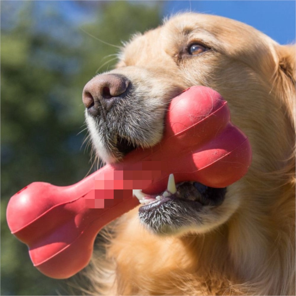 Pet Bite Resistant Rubber Teeth Grinding Toy