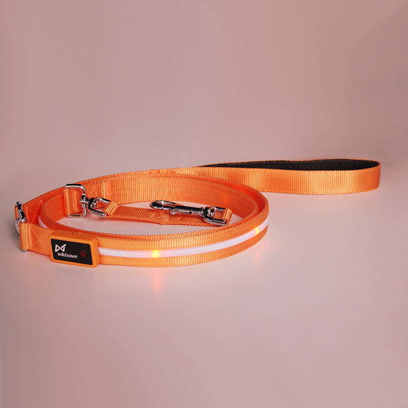 LED USB Rechargeable Luminous Pet Leash Walking Lead