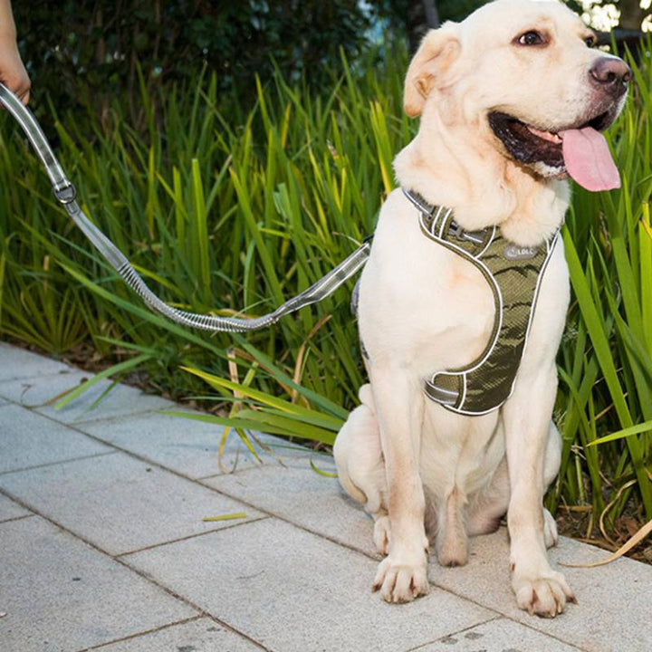 Pet Fluorescent Explosion Proof Elastic Retractable Leash