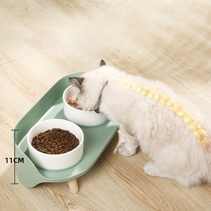 Pet Tilted Double Bowl Adjustable Spill Proof Feeder Stand