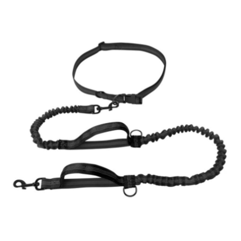 Pet Multifunctional Reflective Double Telescopic Running Leash