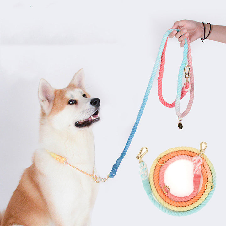 Gradient Rainbow Pet Traction Leash Walking Lead